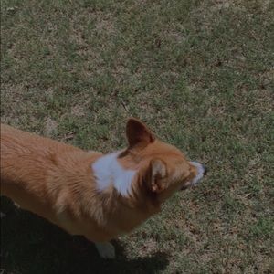 Meet your Posher, Alayna